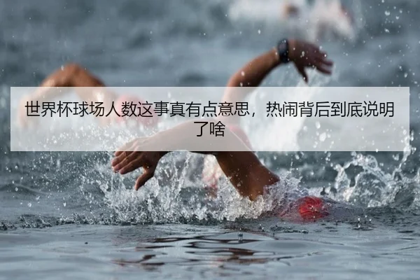 shi-jie-bei-qiu-chang-ren-shu-zhe-shi-zhen-you-dian-yi-si-re-nao-bei-hou-dao-di-shuo-ming-le-sha-1-427.jpg